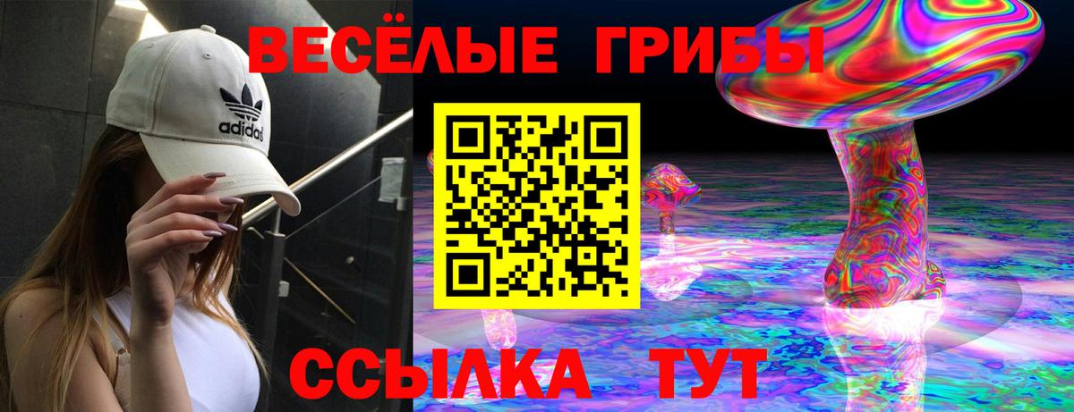 Псилоцибиновые грибы MAGIC MUSHROOMS  Вход с VPN  Псилоцибиновые грибы Cubensis  Зеленогорск 