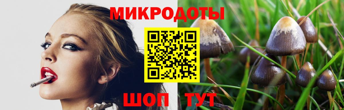 Псилоцибиновые грибы GOLDEN TEACHER Зеленогорск